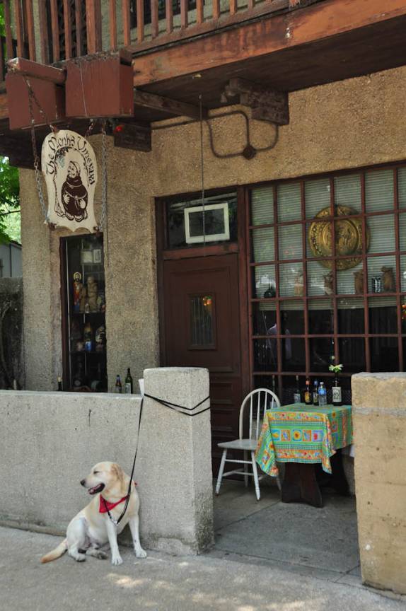 Cão espera pacientemente a dona na porta de loja, em St Augustine, na Flórida - EUA